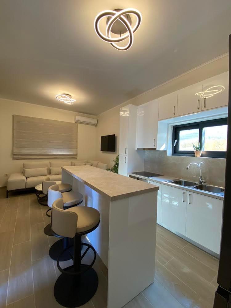 Ionian Stone Luxury Villa ニキアナ エクステリア 写真