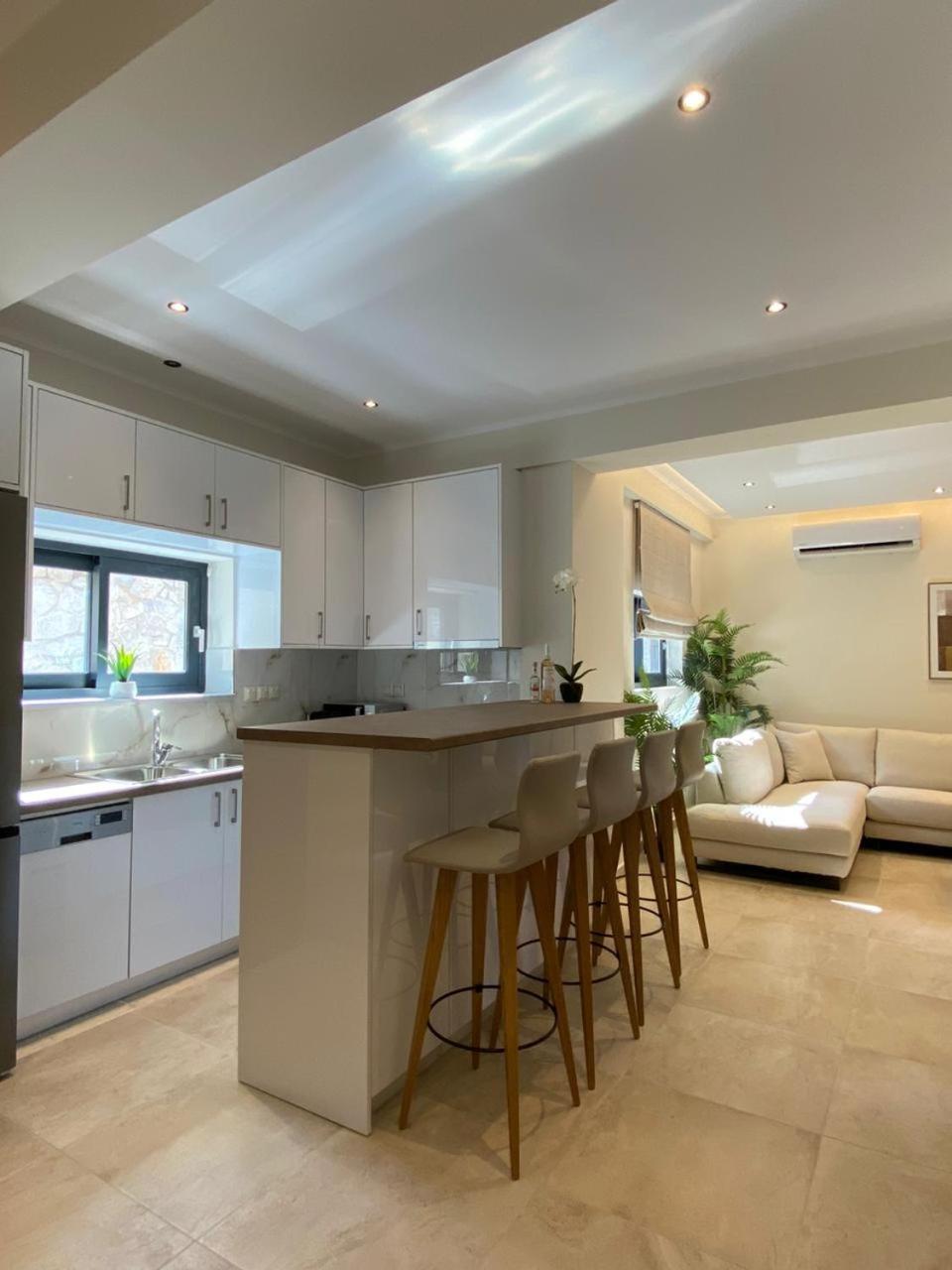 Ionian Stone Luxury Villa ニキアナ エクステリア 写真